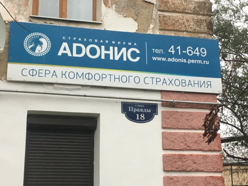 Судимая 70-летняя экс-главбух «Страховой фирмы "Адонис"» погасила 86 млн р. ущерба