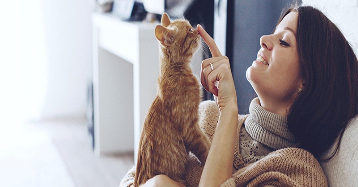 «СОГАЗ» запустил новую программу: с каждого купленного полиса ₽300 идёт на помощь животным